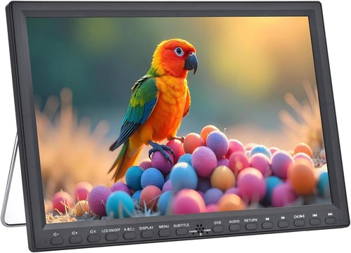 Portable dvd player with - 16.9",